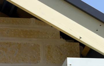 soffit repair Garrigill