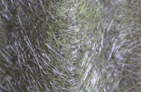 Garrigill fibreglass roof work